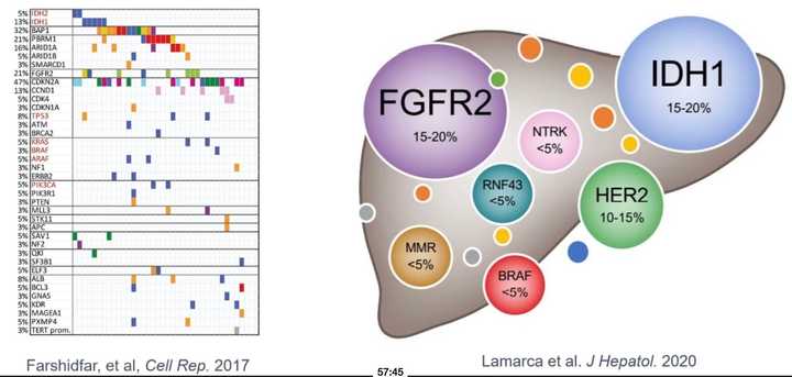 Biliary tract cancers
