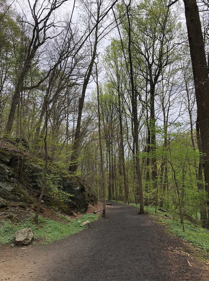 trail