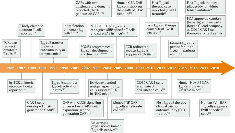 Treg Timeline