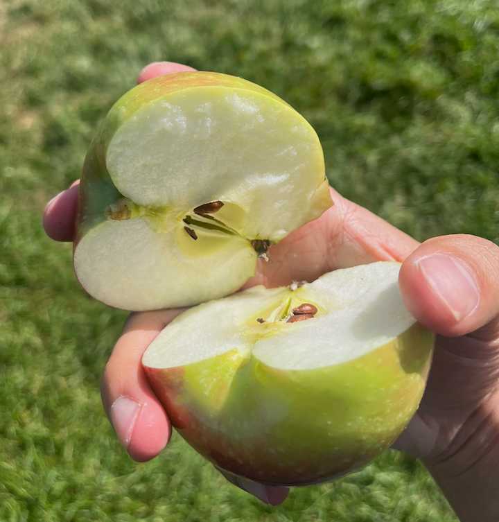 oct