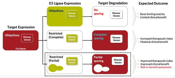 Target Expression