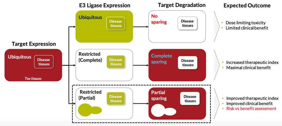 Target Expression