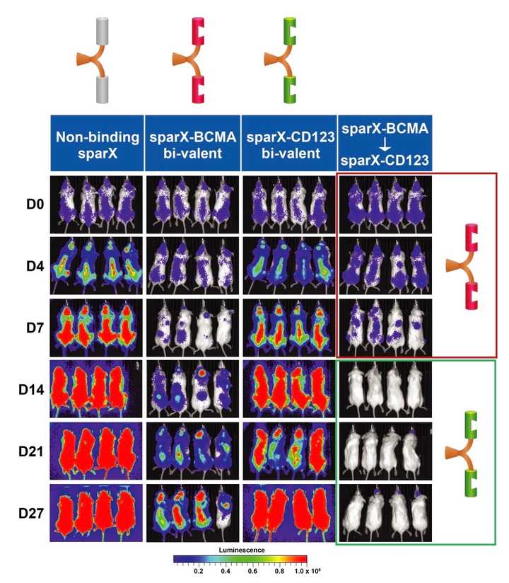 SparX Adaptable Targeting