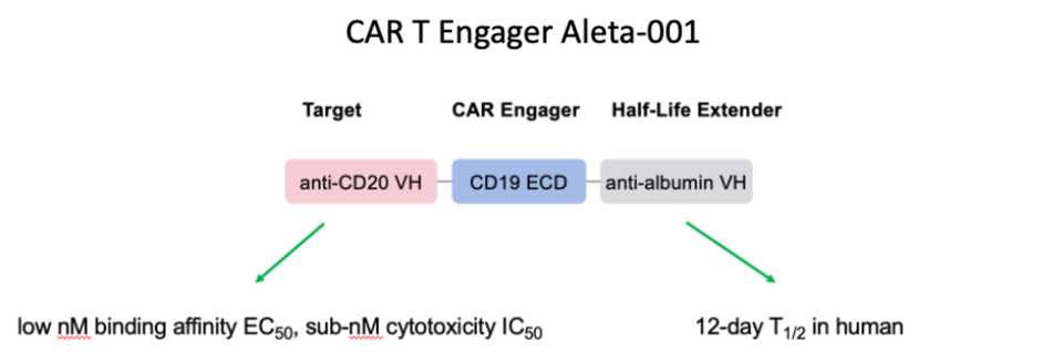 Aleta-001