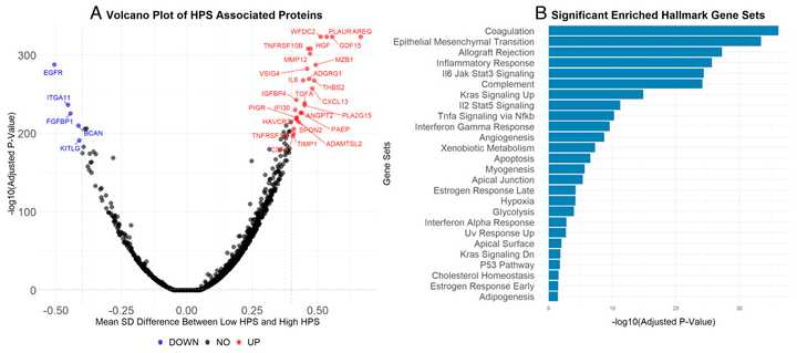 AgingProteome