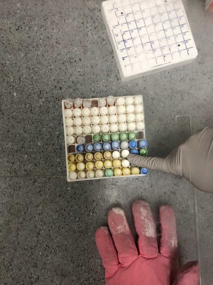 Cells